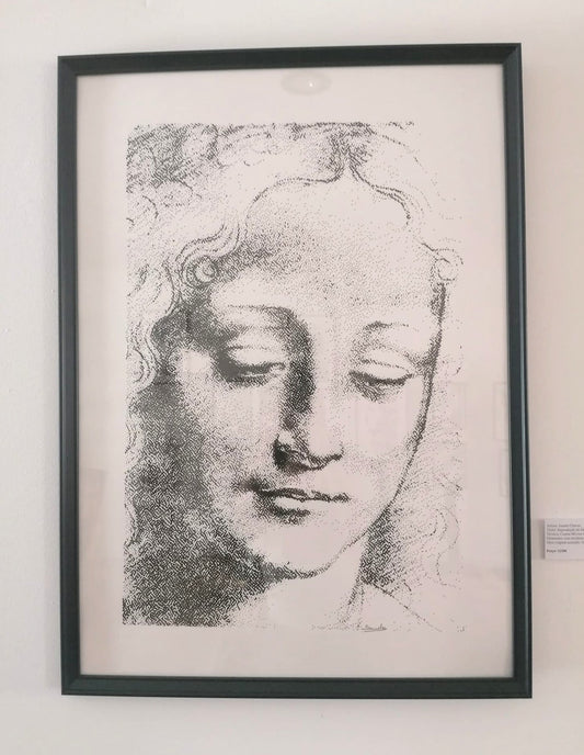 Reproduction of Leonardo da Vinci’s Drawing “Female Face”
