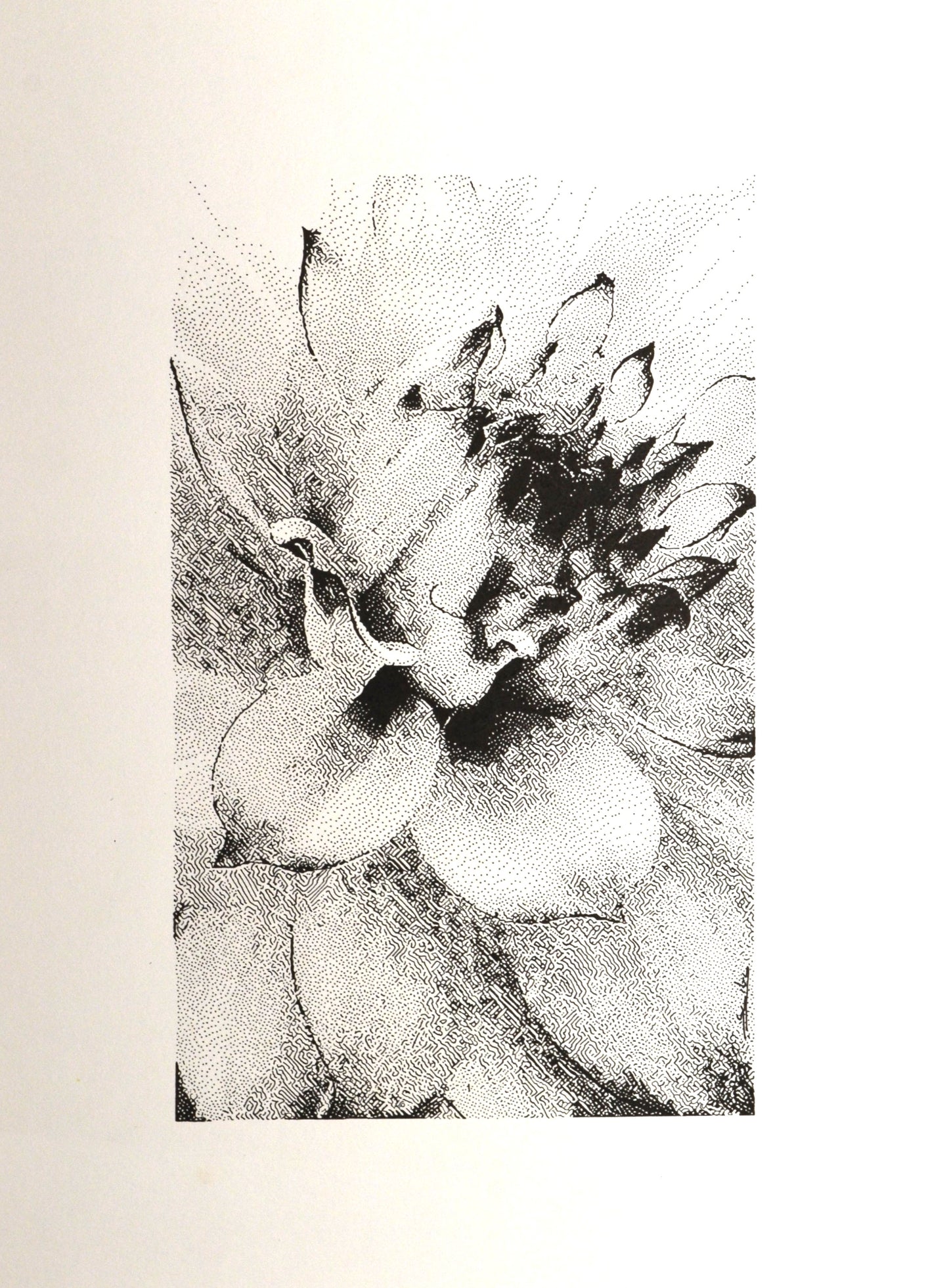 Silence in Bloom