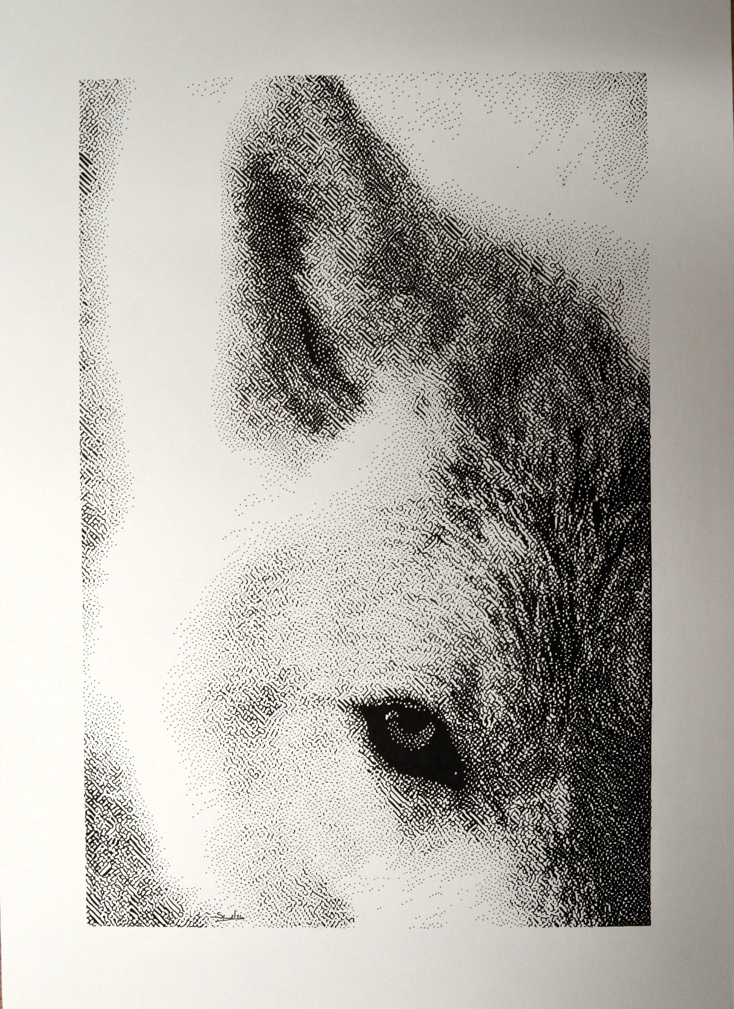 Instinct