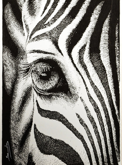 Camouflage