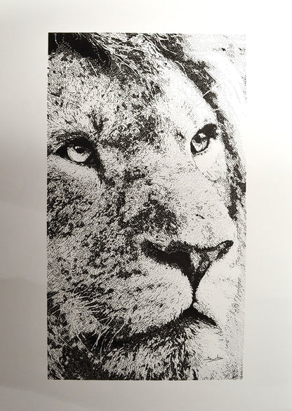 The King