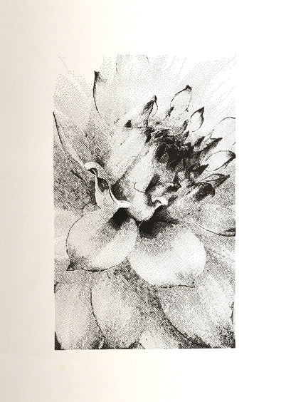 Silence in Bloom