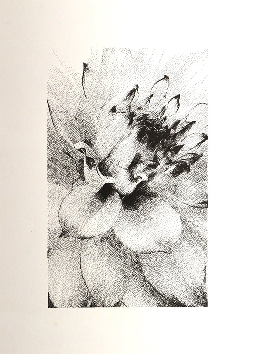 Silence in Bloom