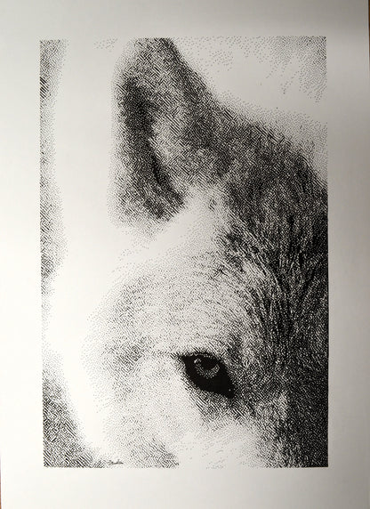Instinct