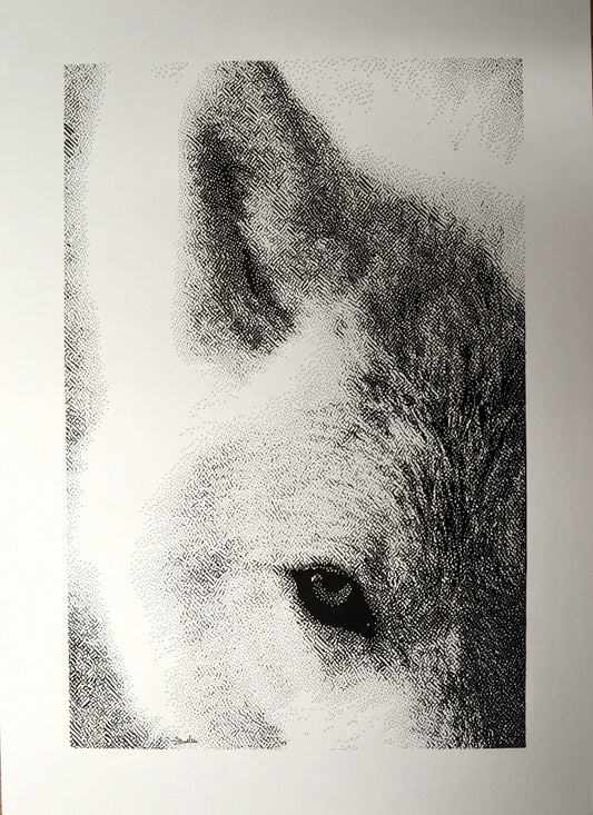 Instinct