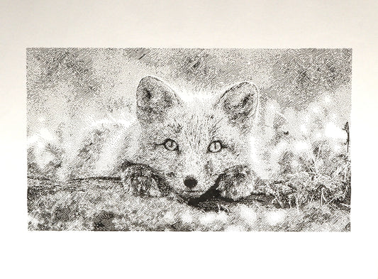 Pretty Fox